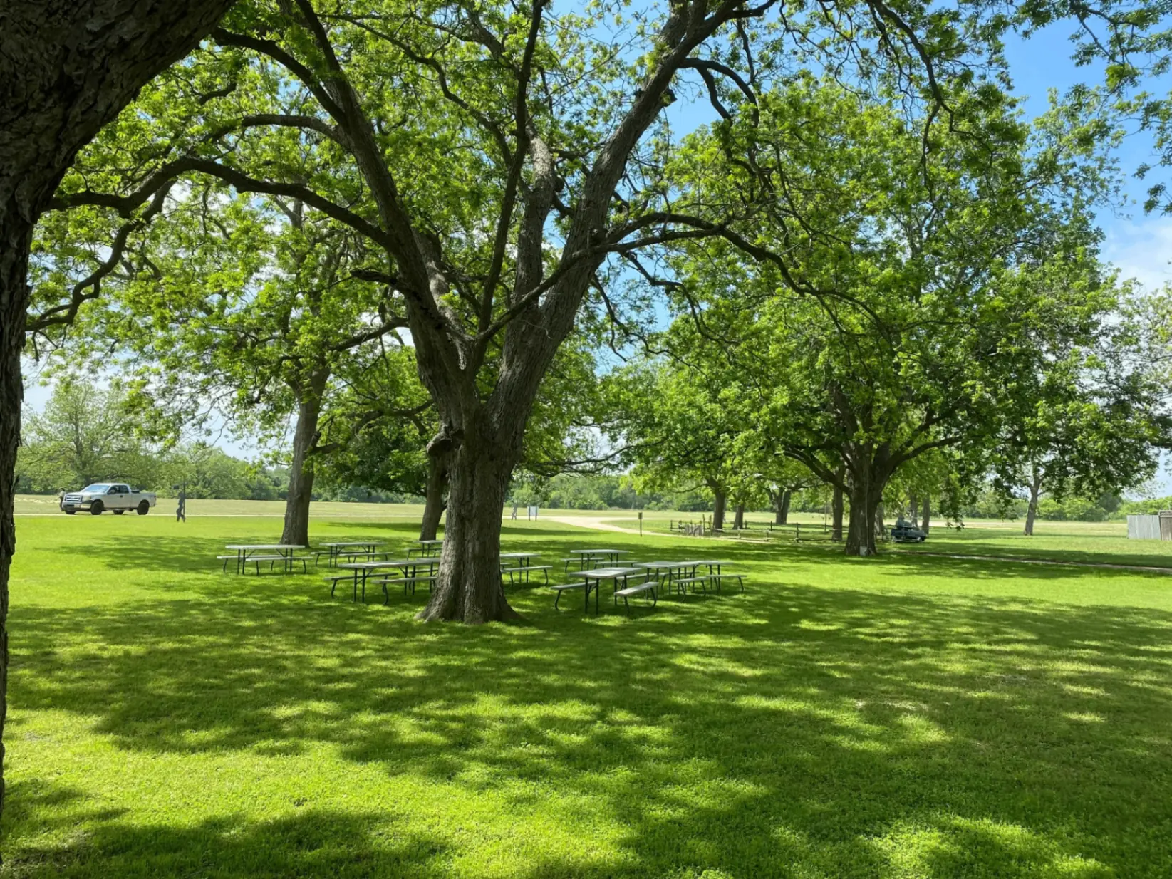 The Gardens