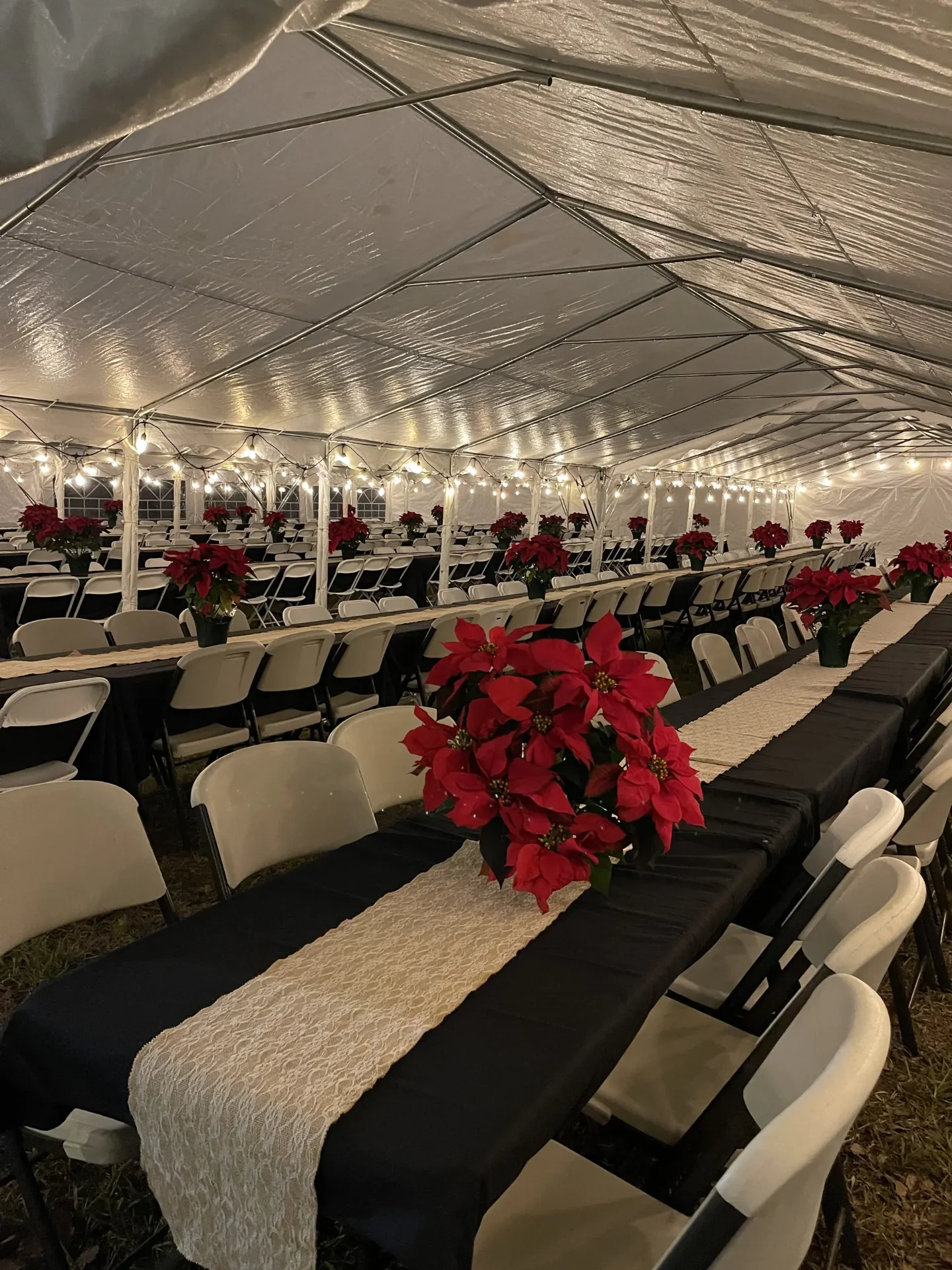 Tent interior with poinsettias holiday party decorations
