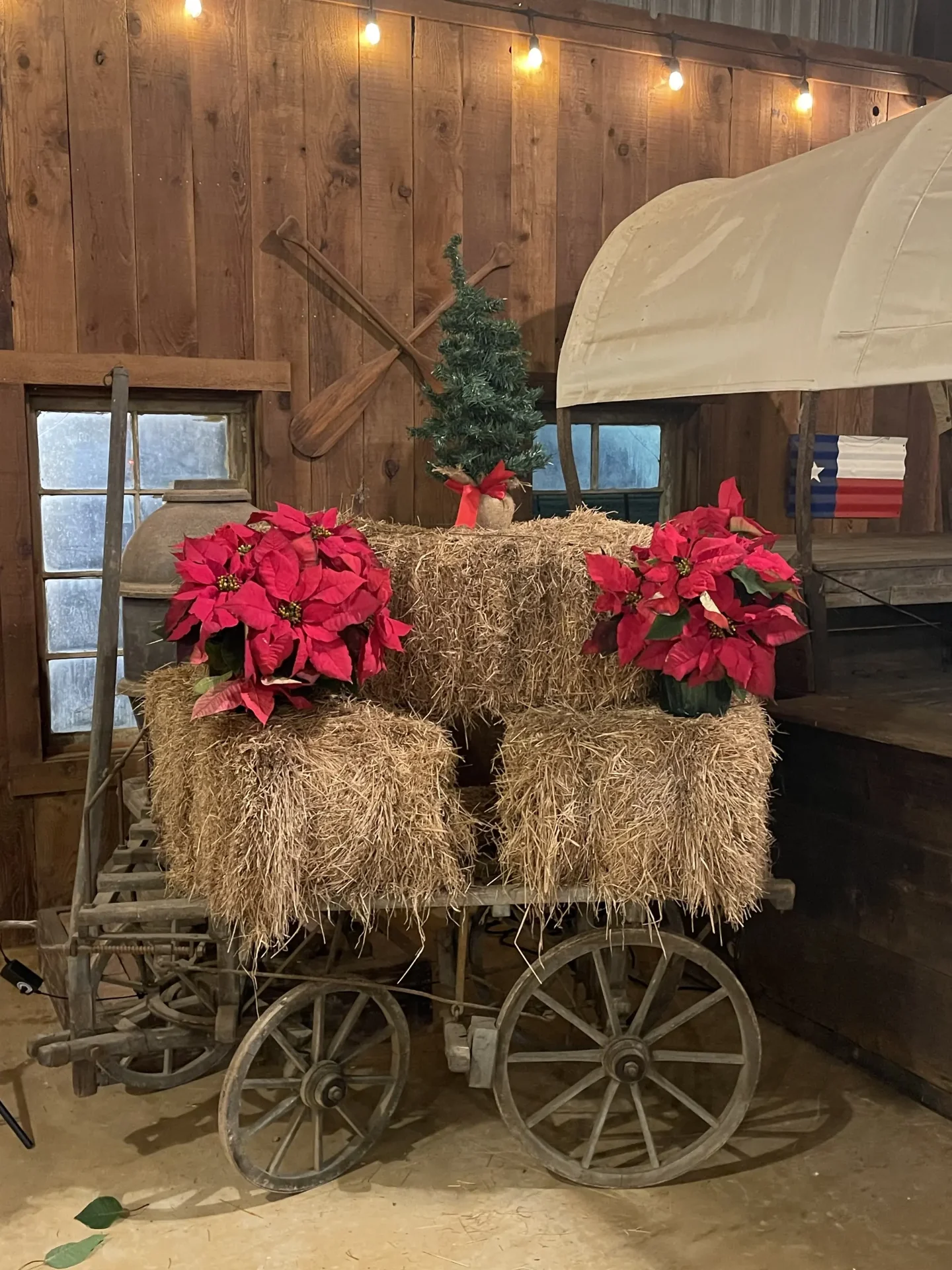 Wagon with haybales and poinsettias holiday décor