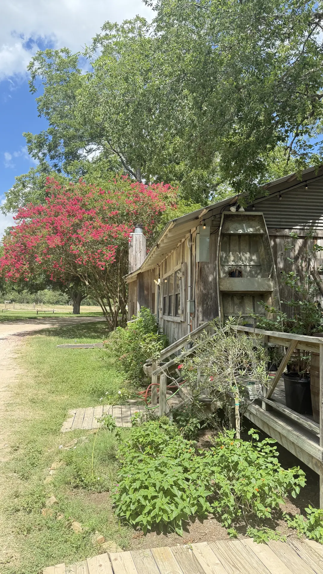 lily-barn-side.webp