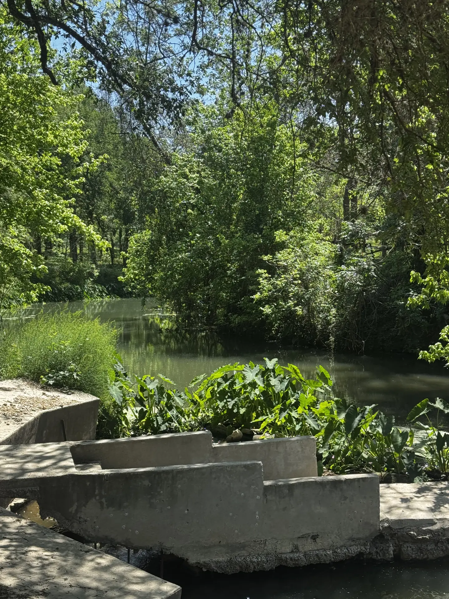 lily-creek-steps.webp