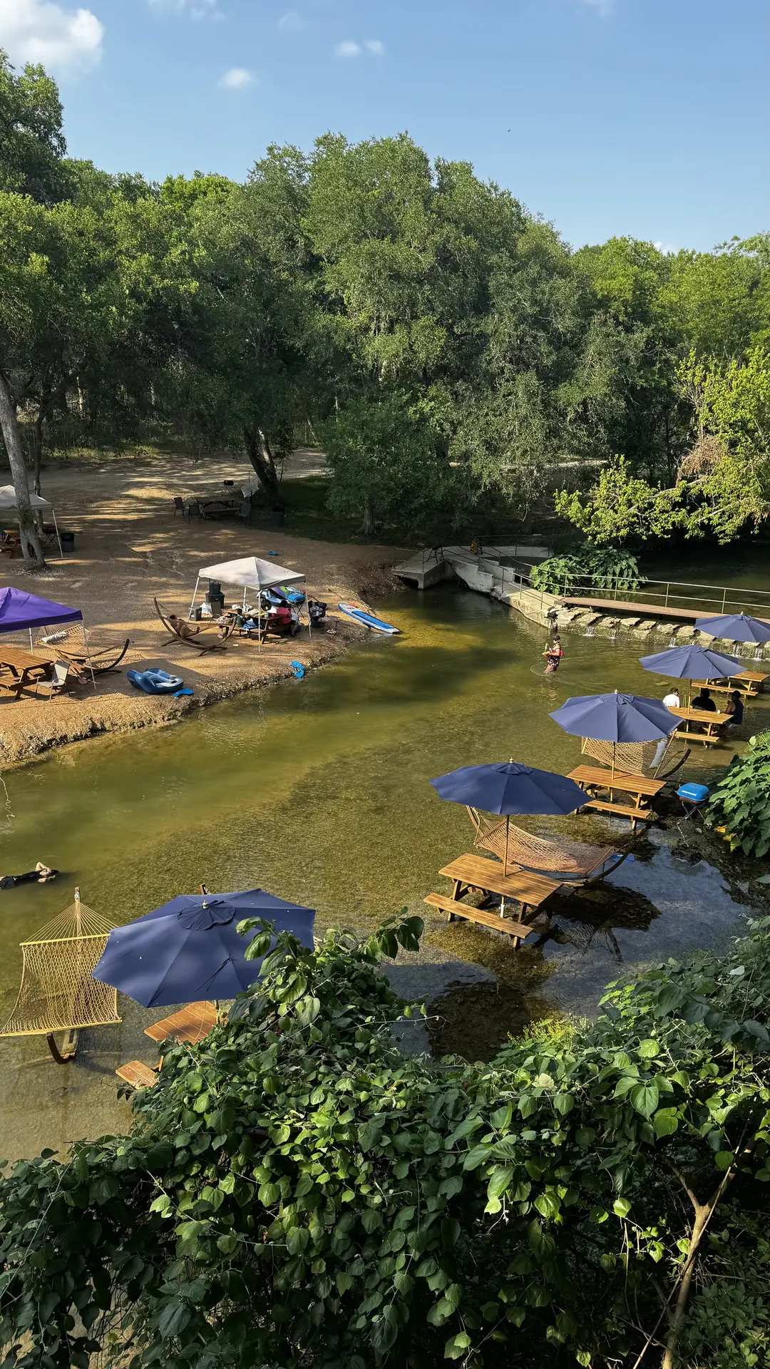 The Lily House photo 8