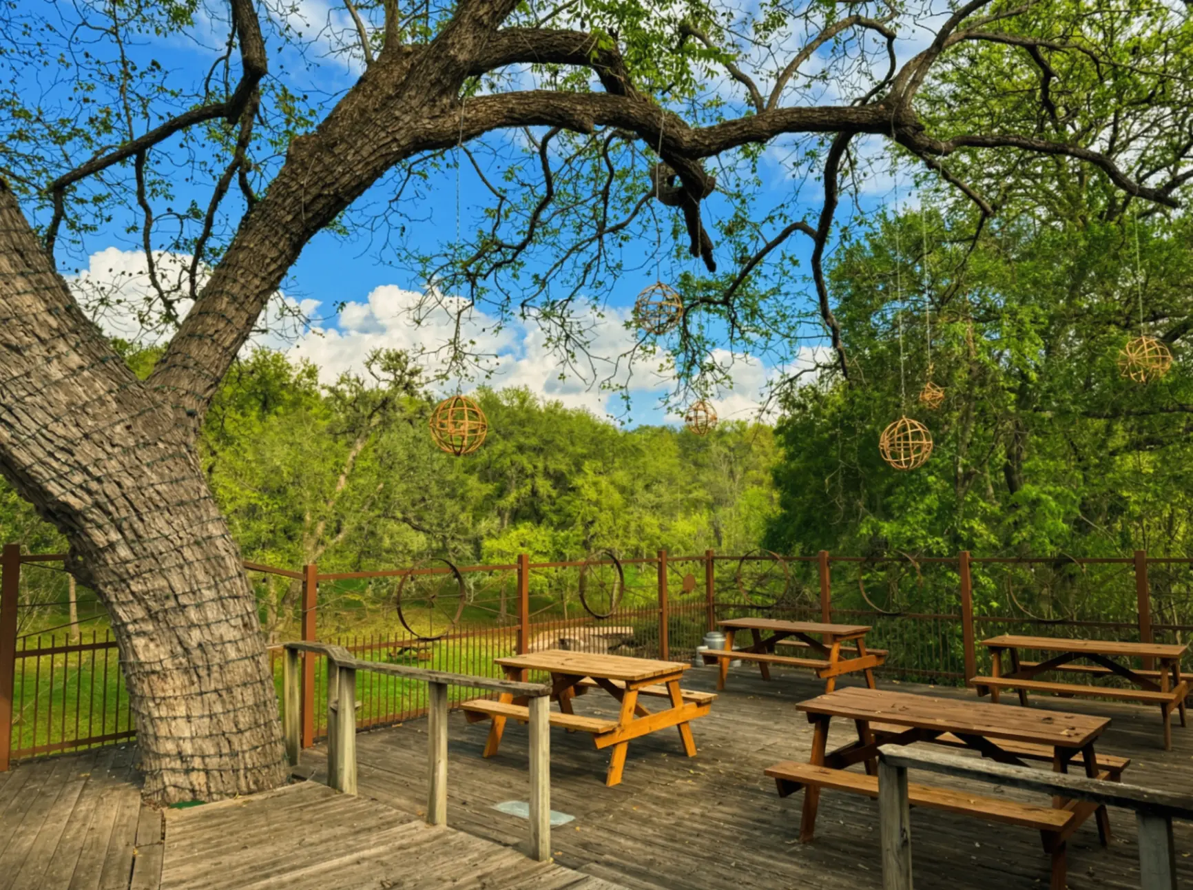 The Lily House photo 4