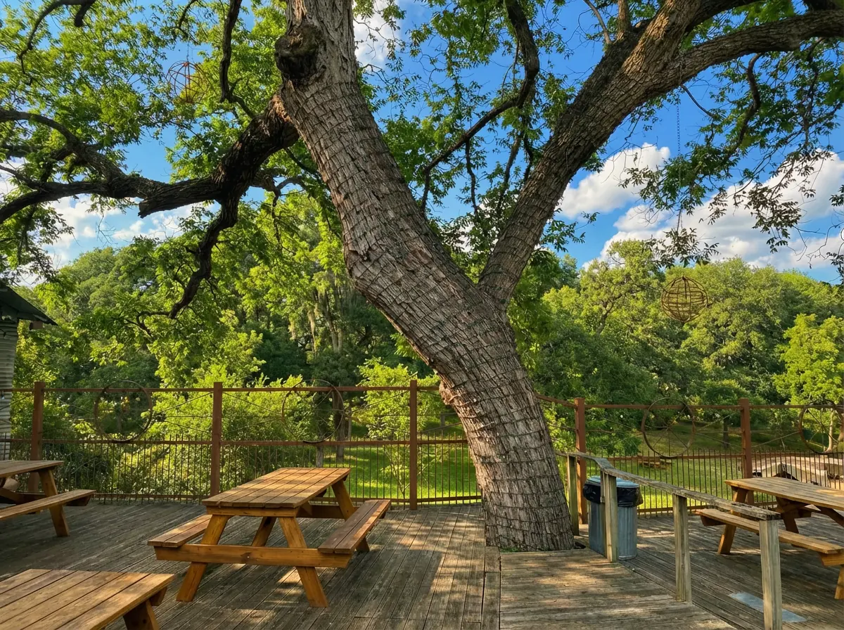 lily-deck-oak-wide.webp