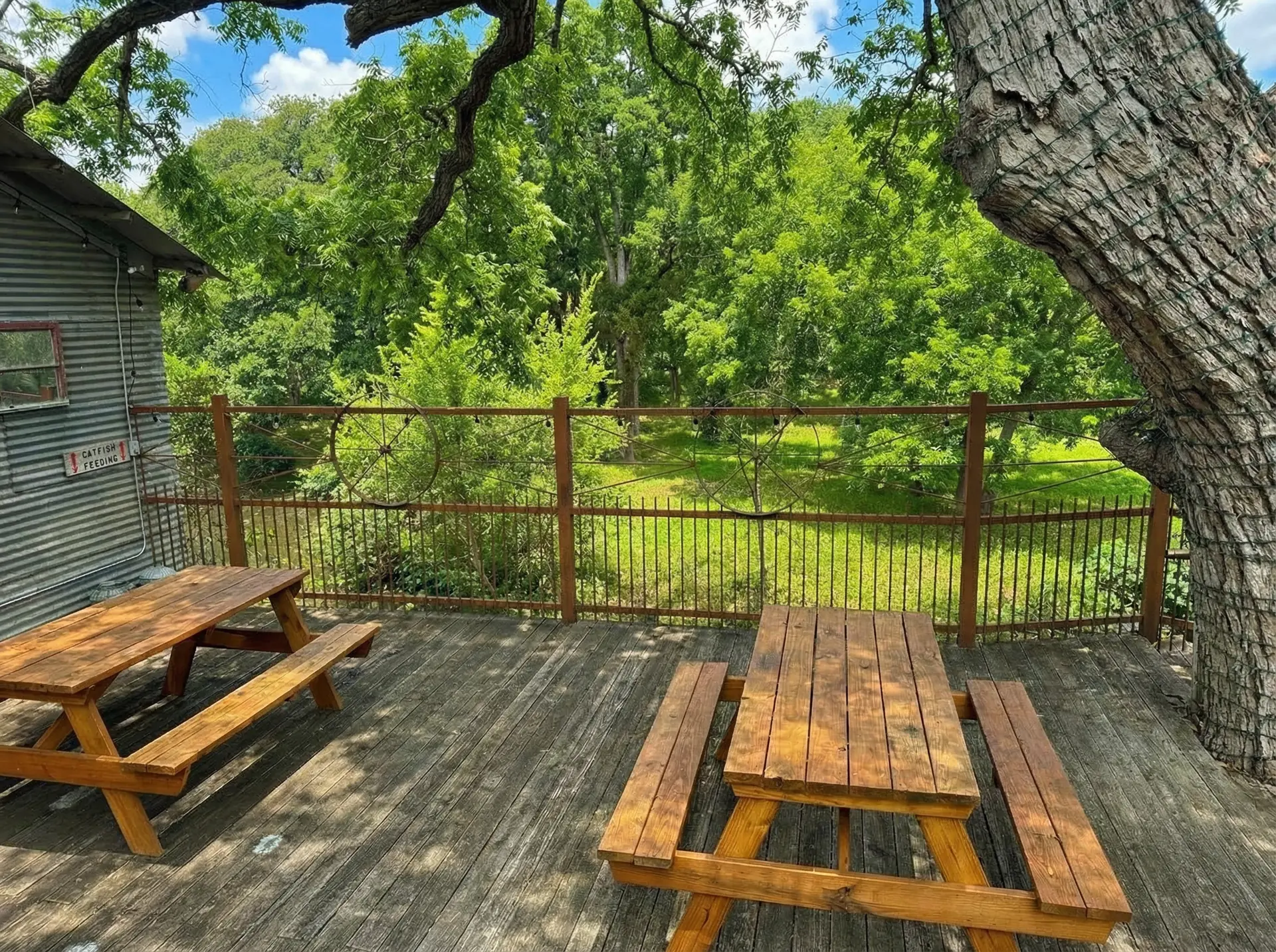 lily-deck-picnic-summer.webp