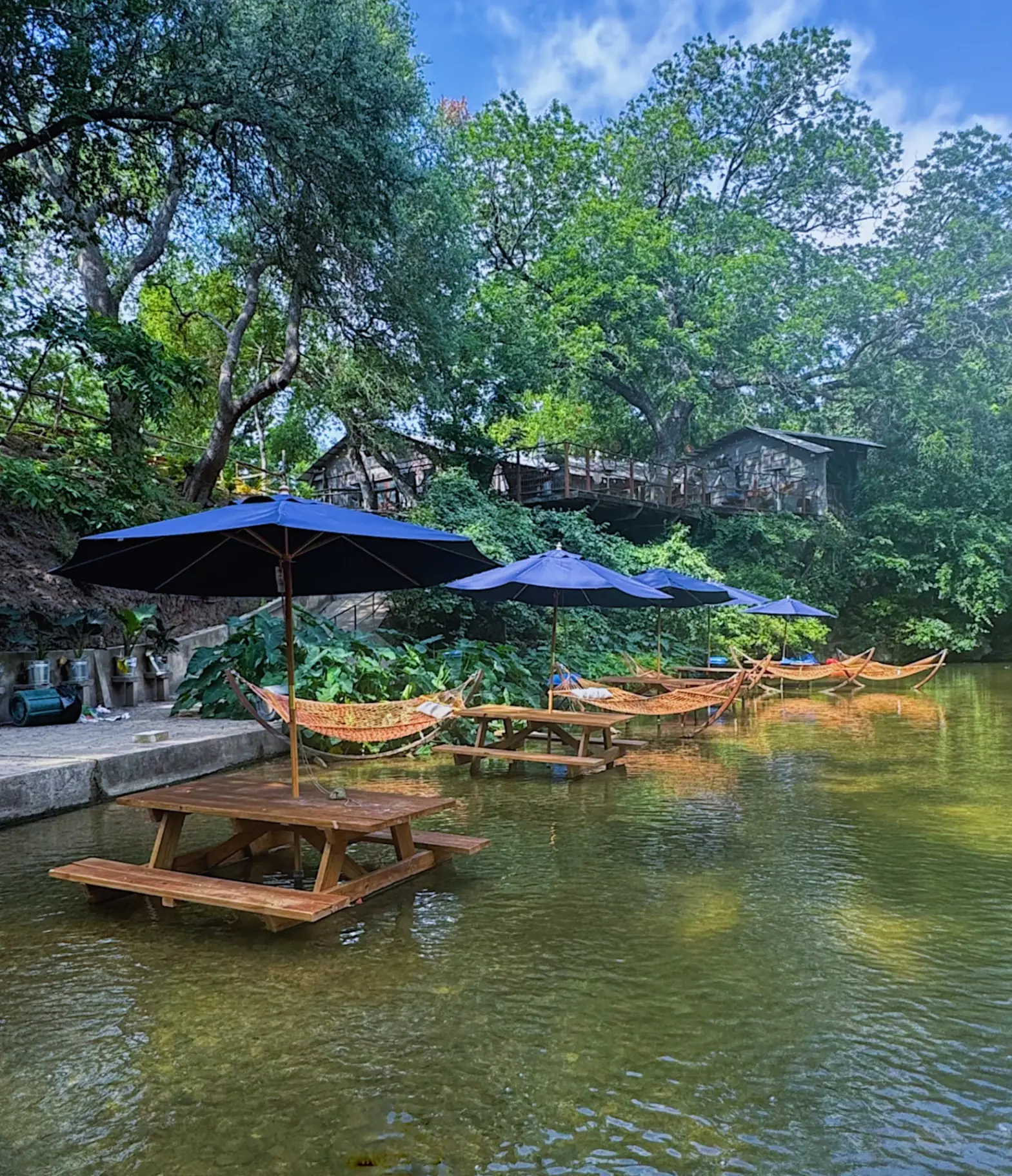 The Lily House photo 7