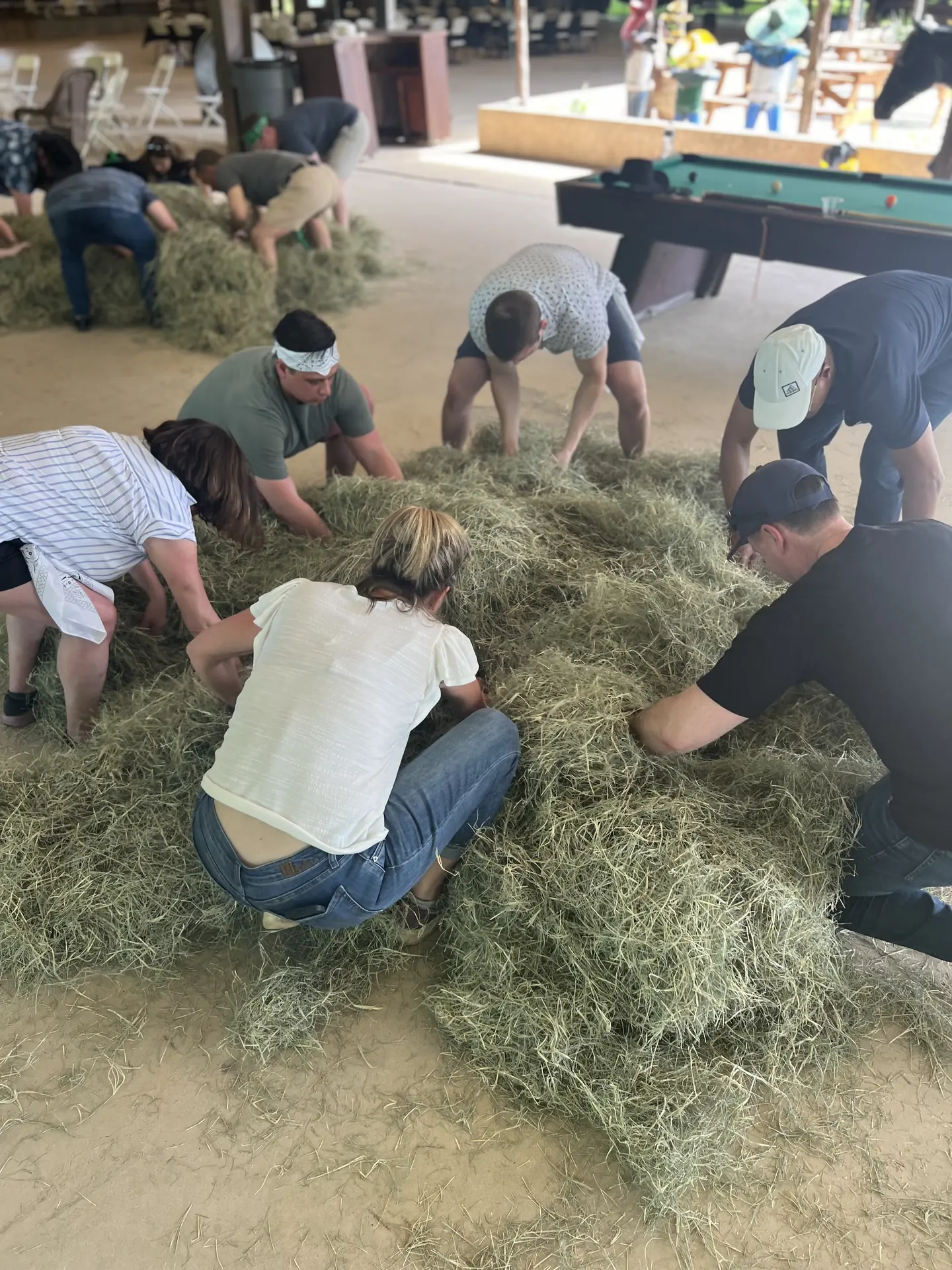 picnic-hay-search.webp