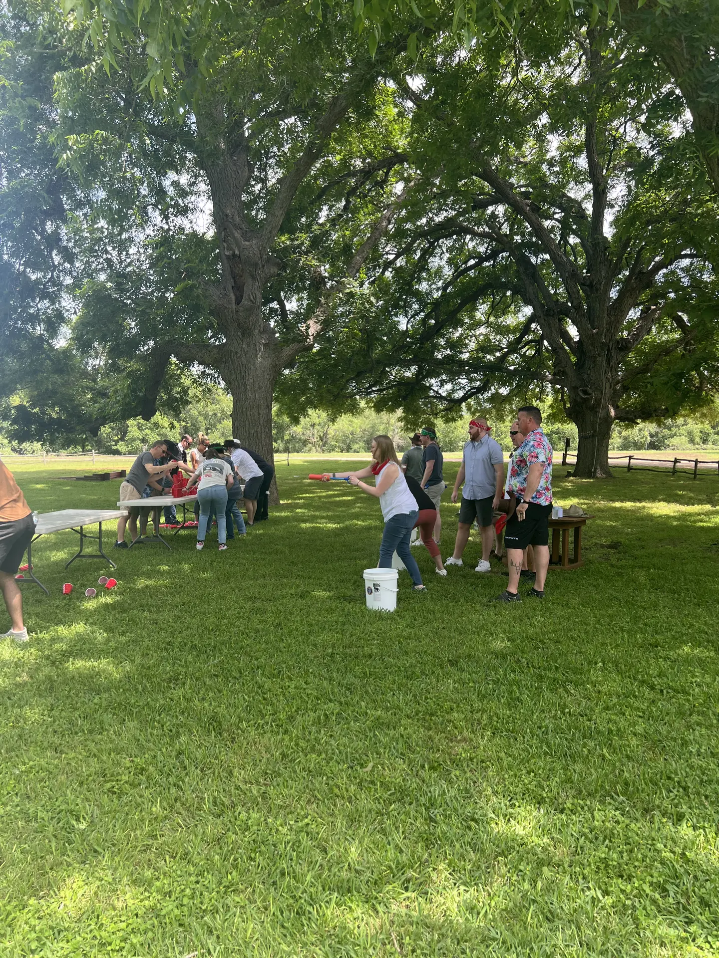 picnic-lawn-games.webp