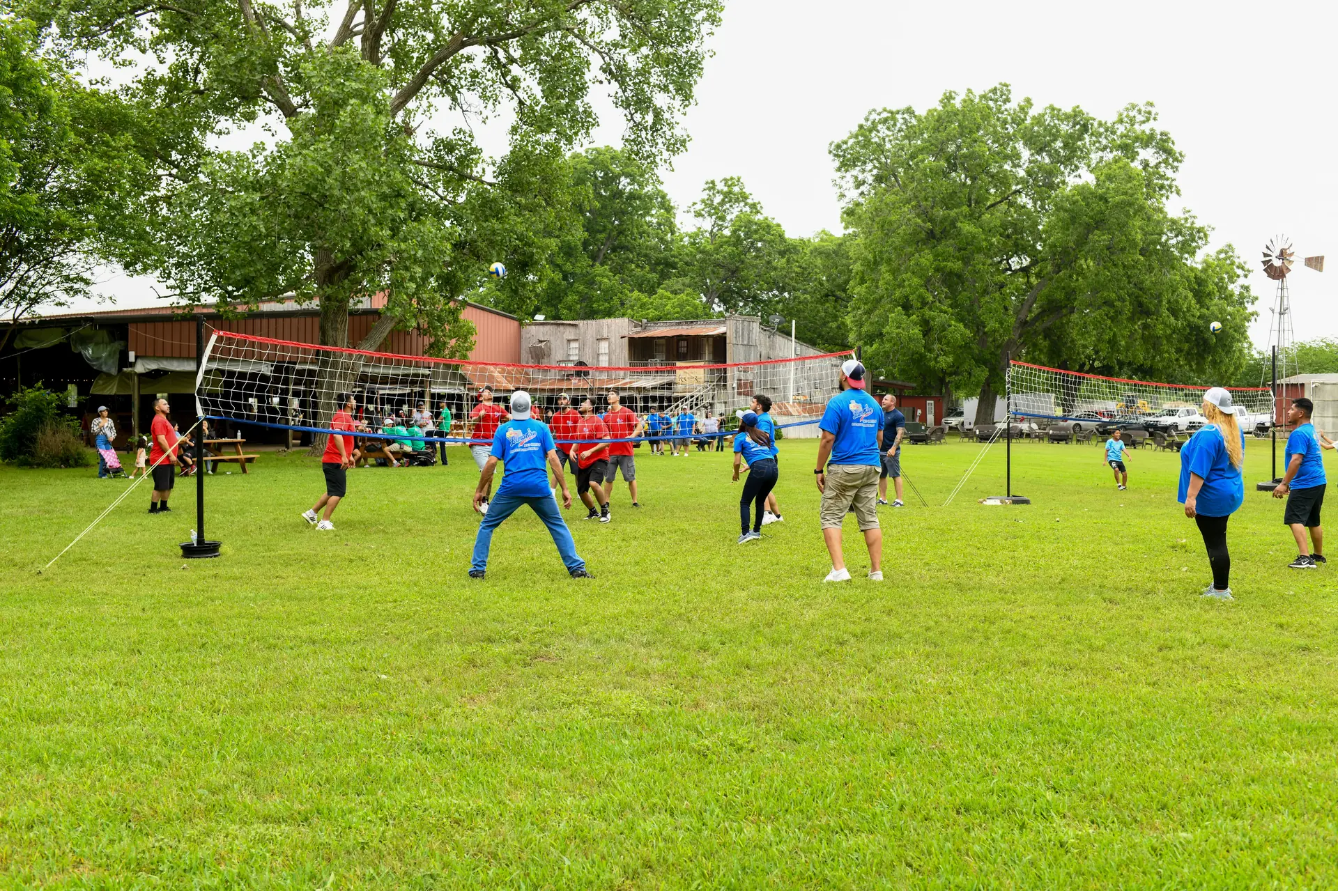 picnic-midday-volleyball.webp