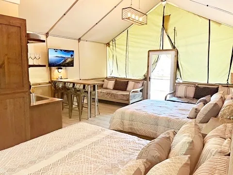 Cozy interior